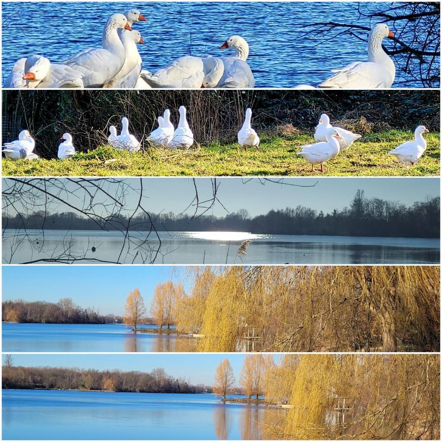 Ferienwohnung Casa Di Lago Heinsberg  Dış mekan fotoğraf